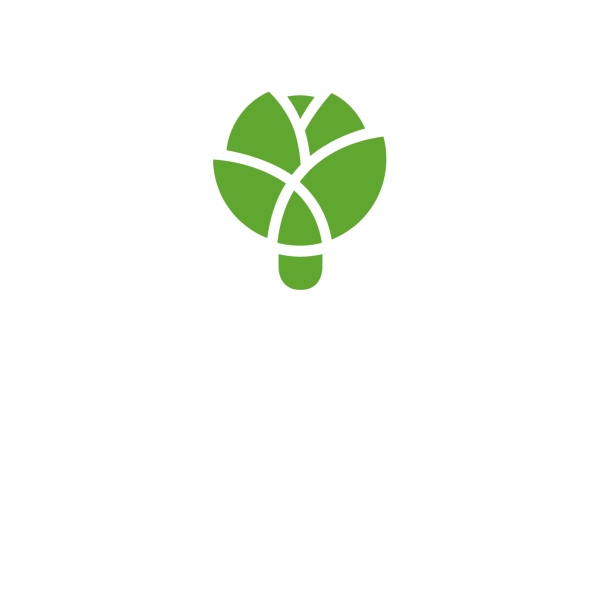 Sbriga Logo